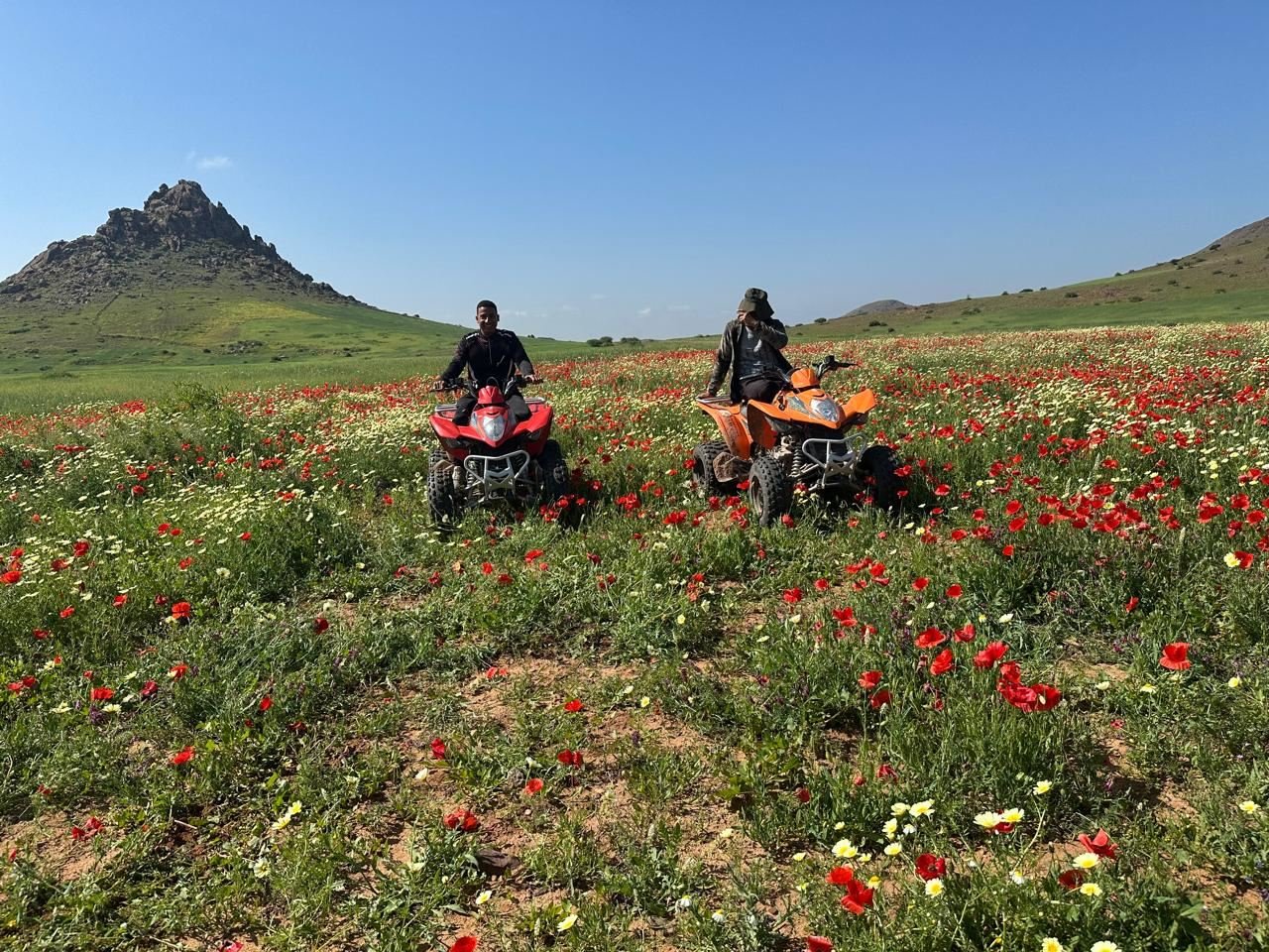 Quads Spring Poppy Field Marrakech